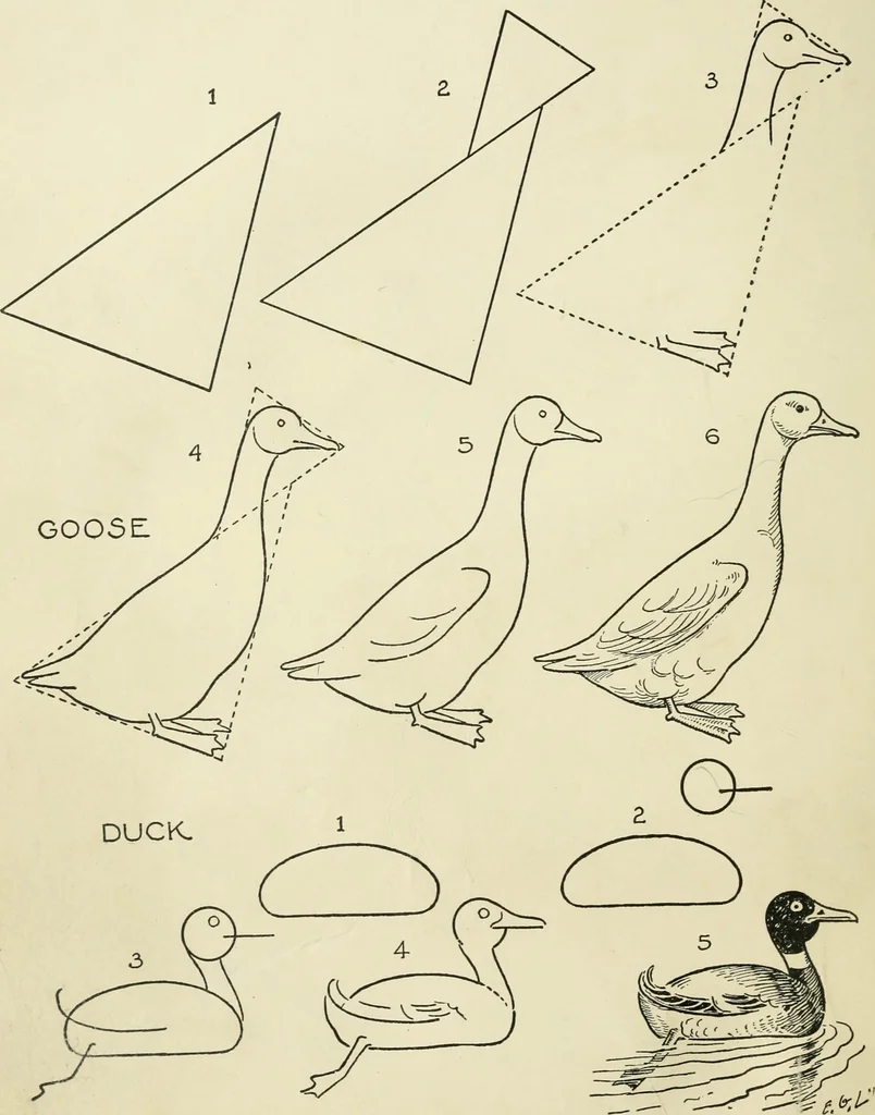 An illustration from Drawing made easy : a helpful book for young artists; the way to begin and finish your sketches, clearly shown step by step, 1921, leaf 48