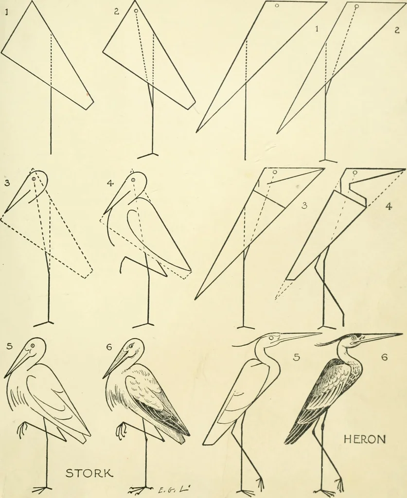 An illustration from Drawing made easy : a helpful book for young artists; the way to begin and finish your sketches, clearly shown step by step, 1921, leaf 49
