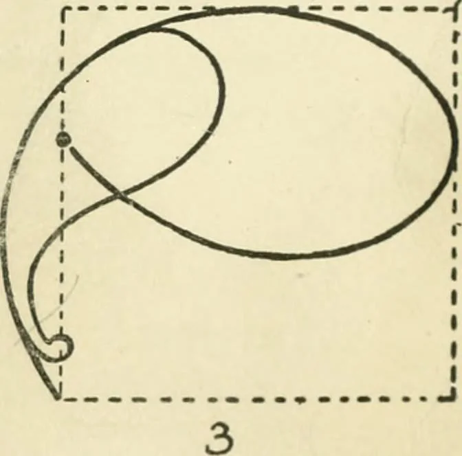 An illustration from Drawing made easy : a helpful book for young artists; the way to begin and finish your sketches, clearly shown step by step, 1921, leaf 51