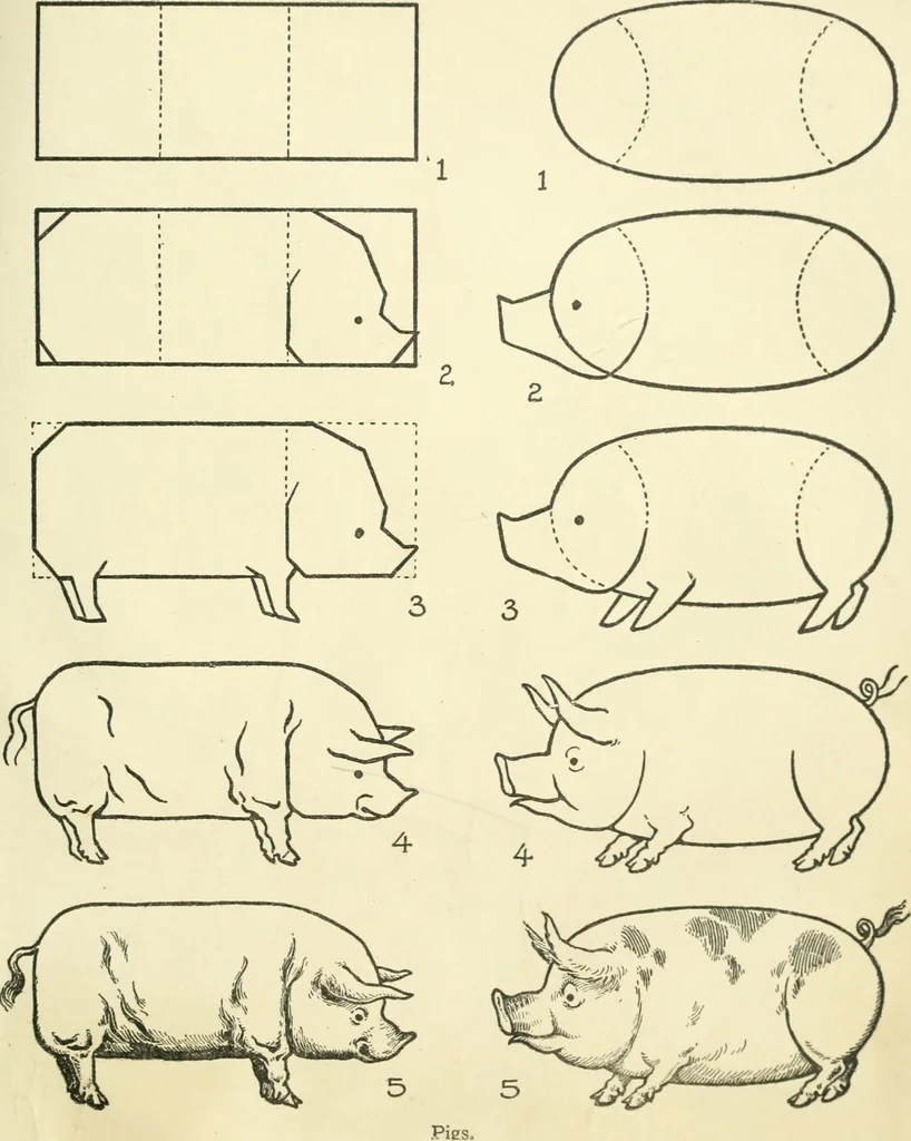 An illustration from Drawing made easy : a helpful book for young artists; the way to begin and finish your sketches, clearly shown step by step, 1921, leaf 53