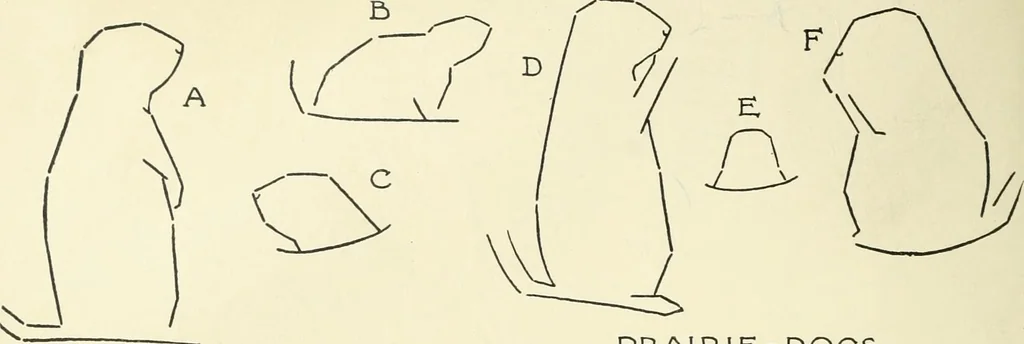 An illustration from Drawing made easy : a helpful book for young artists; the way to begin and finish your sketches, clearly shown step by step, 1921, leaf 58