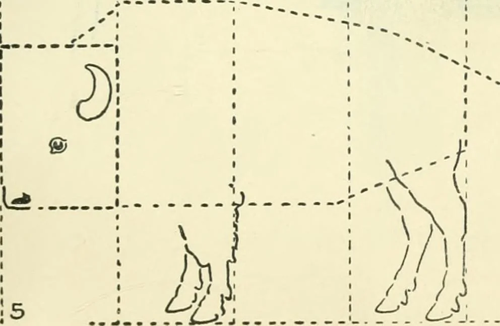 An illustration from Drawing made easy : a helpful book for young artists; the way to begin and finish your sketches, clearly shown step by step, 1921, leaf 59