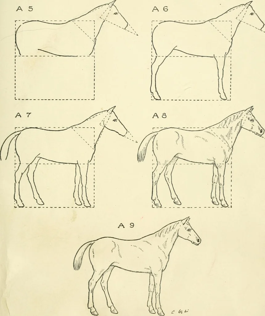 An illustration from Drawing made easy : a helpful book for young artists; the way to begin and finish your sketches, clearly shown step by step, 1921, leaf 61
