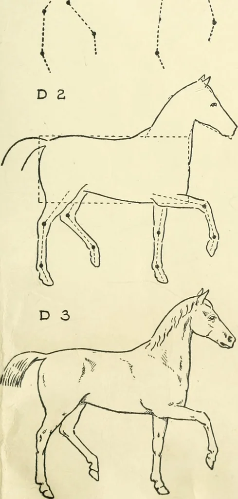 An illustration from Drawing made easy : a helpful book for young artists; the way to begin and finish your sketches, clearly shown step by step, 1921, leaf 63