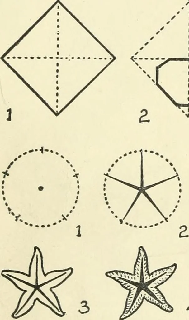 An illustration from Drawing made easy : a helpful book for young artists; the way to begin and finish your sketches, clearly shown step by step, 1921, leaf 66