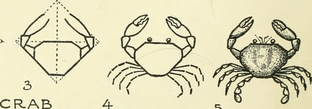 An illustration from Drawing made easy : a helpful book for young artists; the way to begin and finish your sketches, clearly shown step by step, 1921, leaf 66