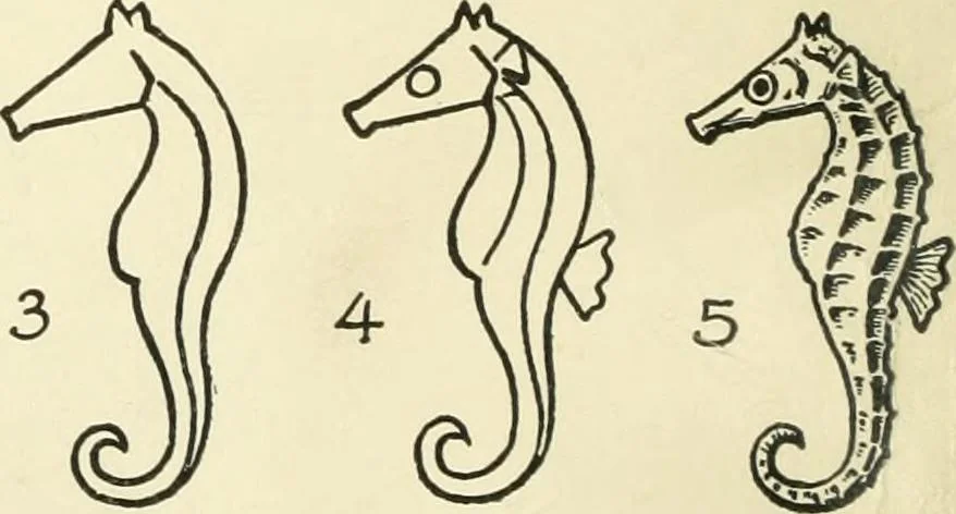 An illustration from Drawing made easy : a helpful book for young artists; the way to begin and finish your sketches, clearly shown step by step, 1921, leaf 66