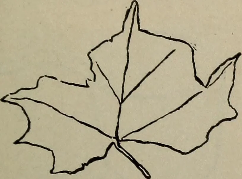 An illustration from Drawing and painting self-taught, 1922, leaf 125