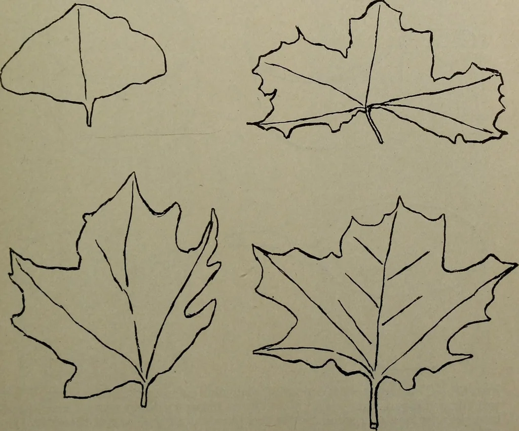 An illustration from Drawing and painting self-taught, 1922, leaf 125