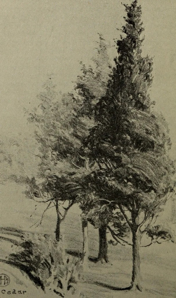 An illustration from Drawing and painting self-taught, 1922, leaf 138