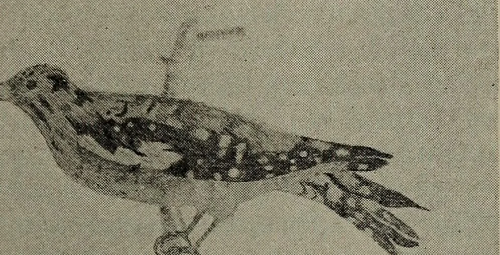 An illustration from Drawing and painting self-taught, 1922, leaf 141