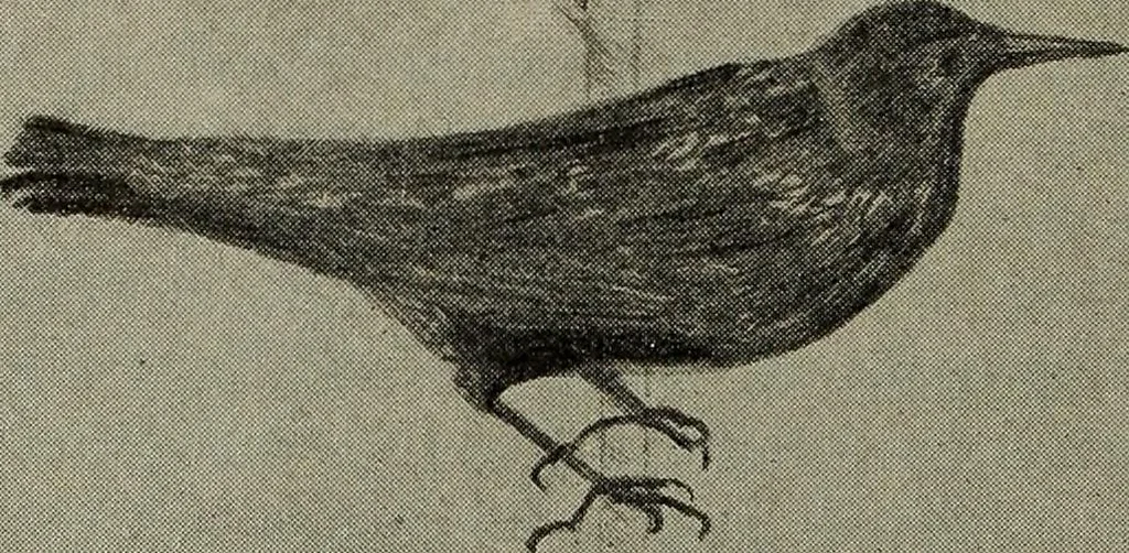 An illustration from Drawing and painting self-taught, 1922, leaf 144