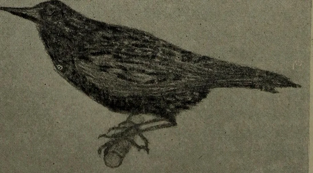 An illustration from Drawing and painting self-taught, 1922, leaf 144