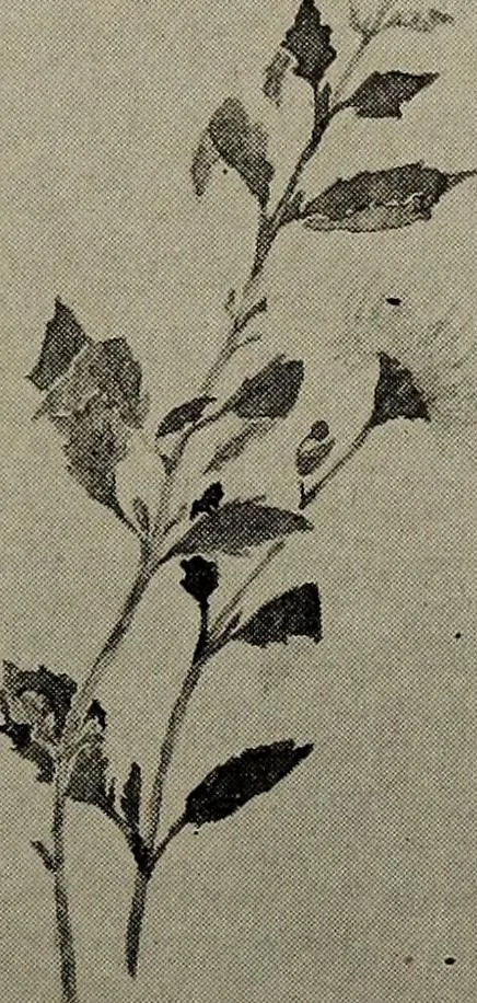 An illustration from Drawing and painting self-taught, 1922, leaf 159
