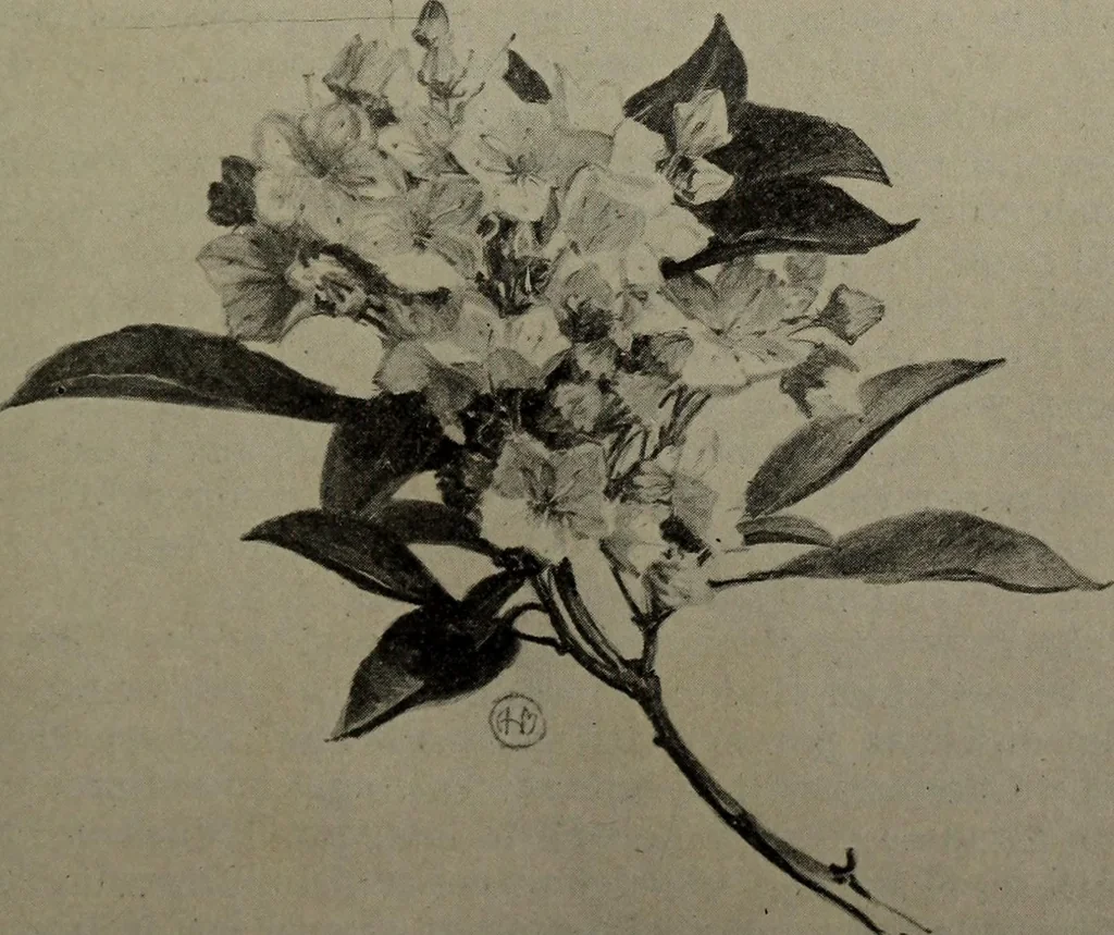 An illustration from Drawing and painting self-taught, 1922, leaf 161