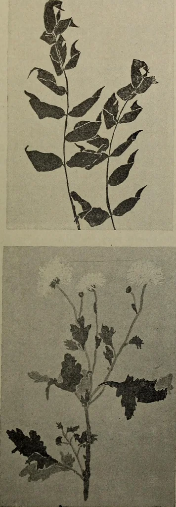 An illustration from Drawing and painting self-taught, 1922, leaf 171