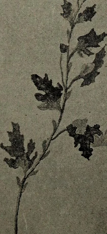 An illustration from Drawing and painting self-taught, 1922, leaf 171