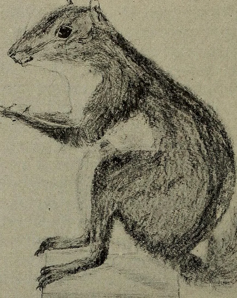 An illustration from Drawing and painting self-taught, 1922, leaf 174