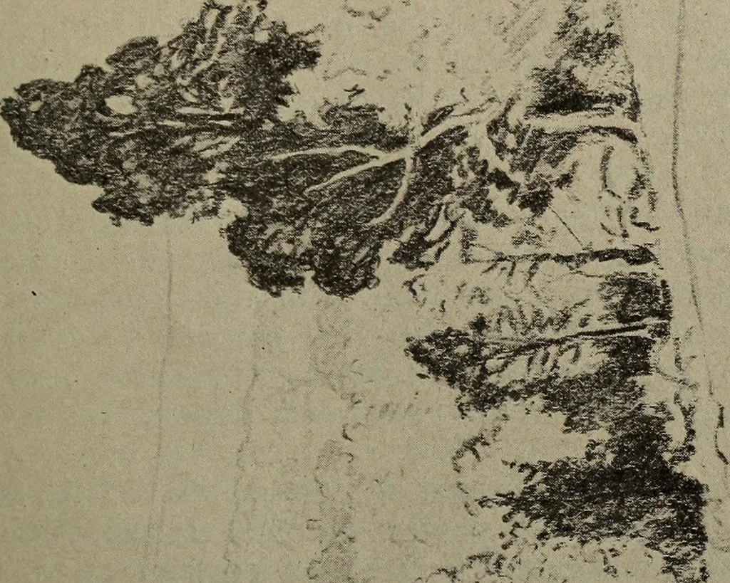 An illustration from Drawing and painting self-taught, 1922, leaf 23