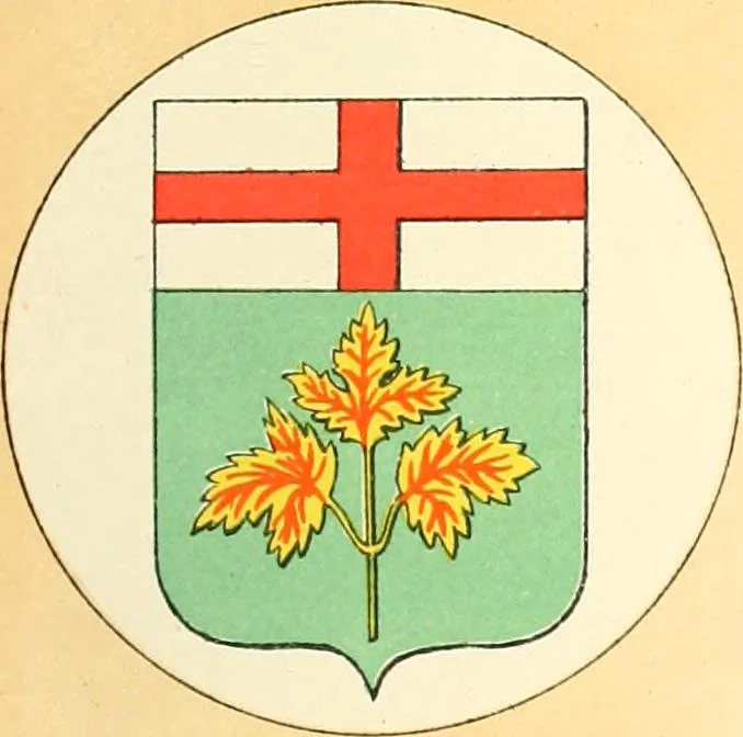 An illustration from Drawings of the flags in use at the present time by various nations, 1916, leaf 105