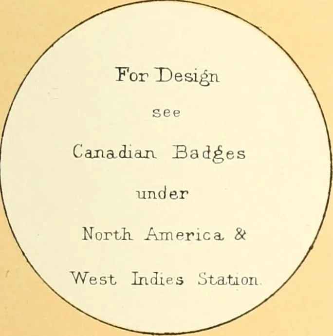 An illustration from Drawings of the flags in use at the present time by various nations, 1916, leaf 113