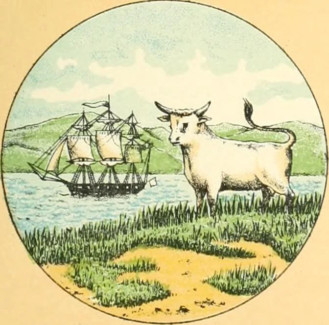 An illustration from Drawings of the flags in use at the present time by various nations, 1916, leaf 113