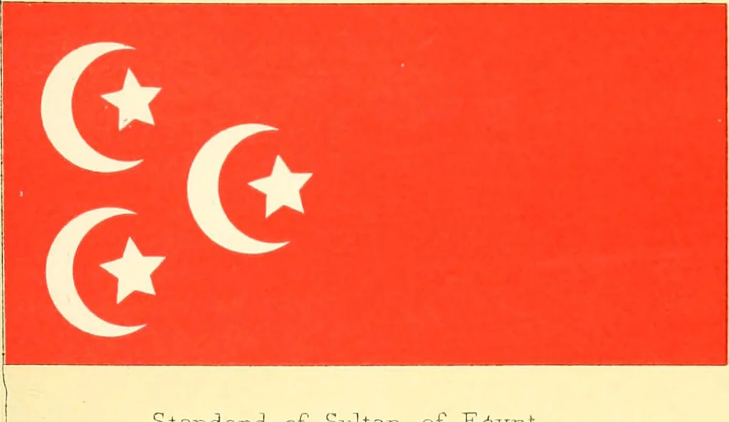An illustration from Drawings of the flags in use at the present time by various nations, 1916, leaf 243