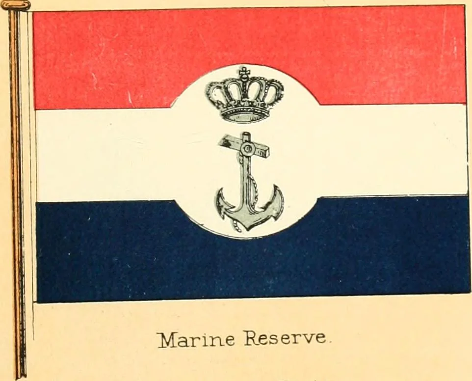 An illustration from Drawings of the flags in use at the present time by various nations, 1916, leaf 335