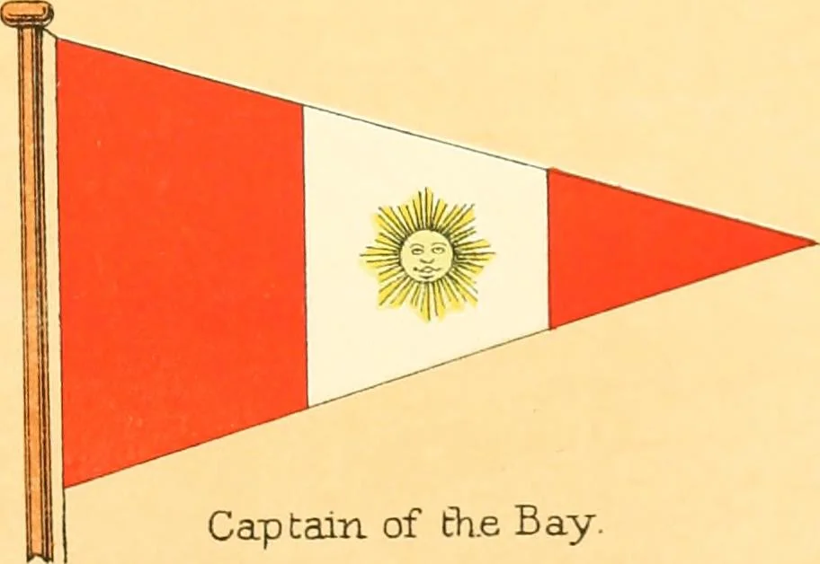 An illustration from Drawings of the flags in use at the present time by various nations, 1916, leaf 351