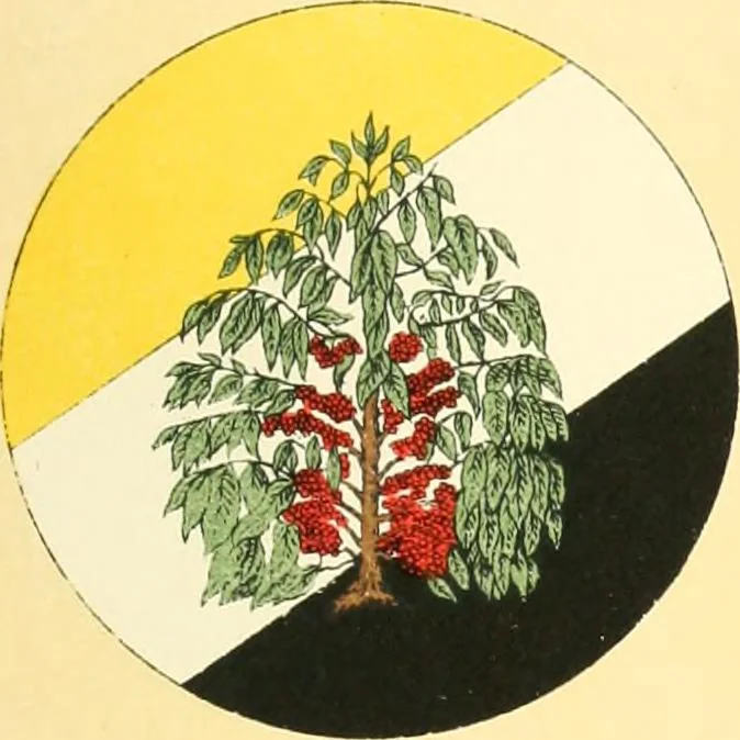 An illustration from Drawings of the flags in use at the present time by various nations, 1916, leaf 89