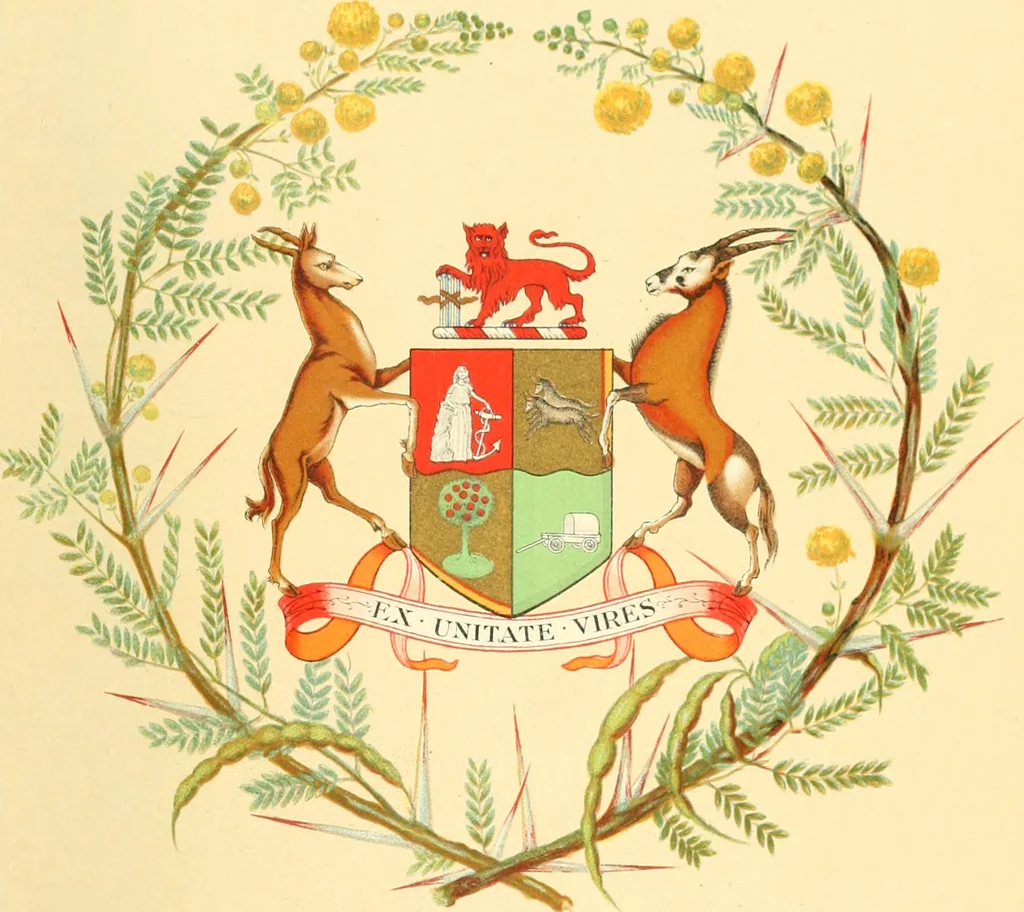 An illustration from Drawings of the flags in use at the present time by various nations, 1916, leaf 91