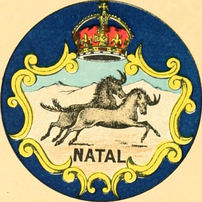 An illustration from Drawings of the flags in use at the present time by various nations, 1916, leaf 93