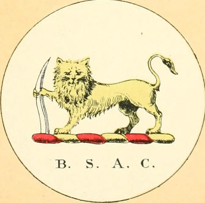 An illustration from Drawings of the flags in use at the present time by various nations, 1916, leaf 93