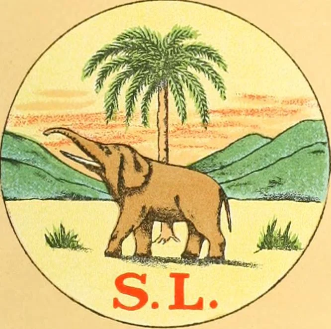 An illustration from Drawings of the flags in use at the present time by various nations, 1916, leaf 95