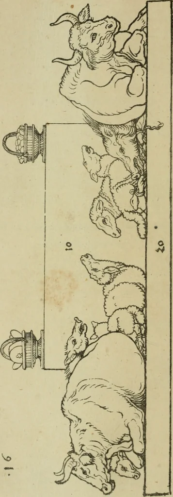 An illustration from Dürers kupferstiche und holzschnitte, 1871, leaf 111