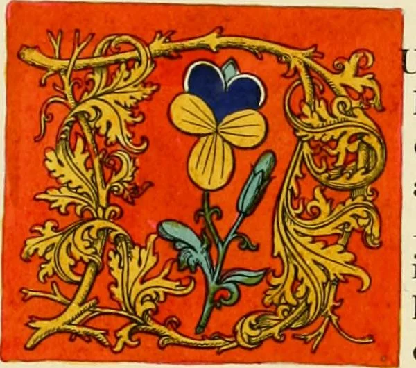 An illustration from Dresses and decorations of the Middle Ages, 1843, leaf 115