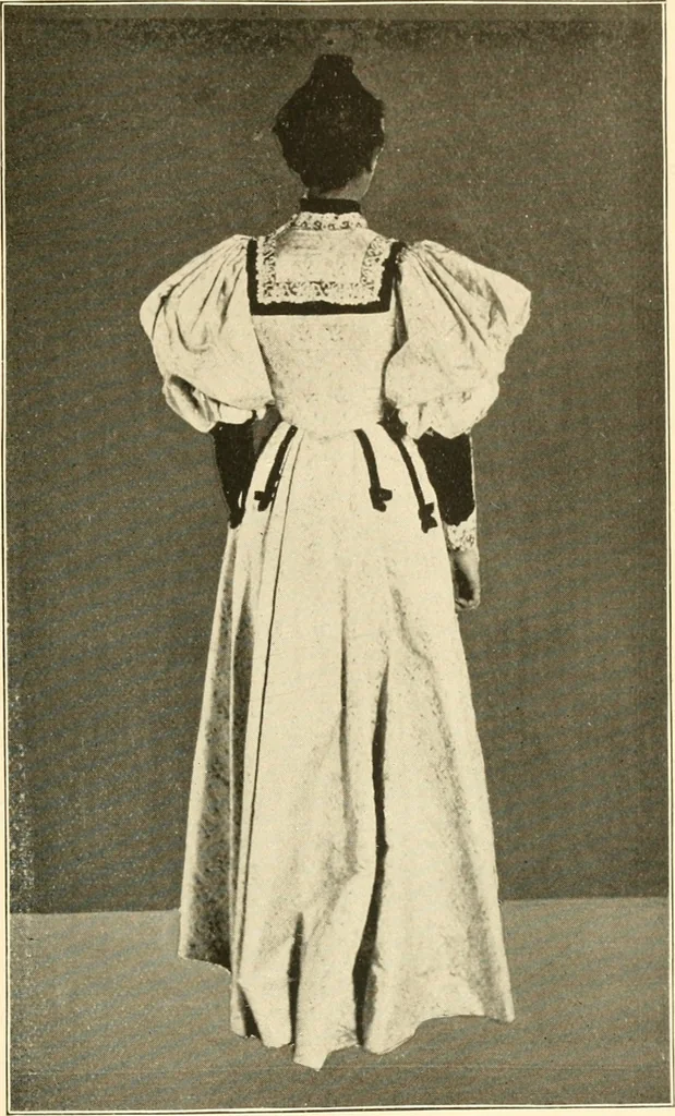 An illustration from Dress, and how to improve it, 1897, leaf 100