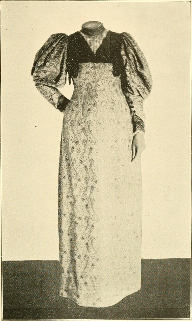 An illustration from Dress, and how to improve it, 1897, leaf 102