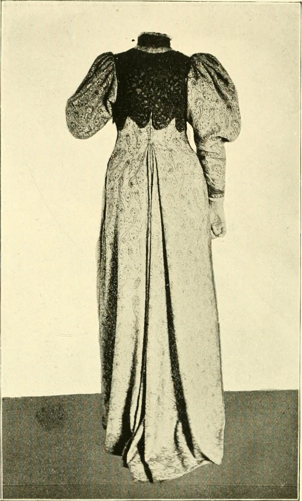An illustration from Dress, and how to improve it, 1897, leaf 103