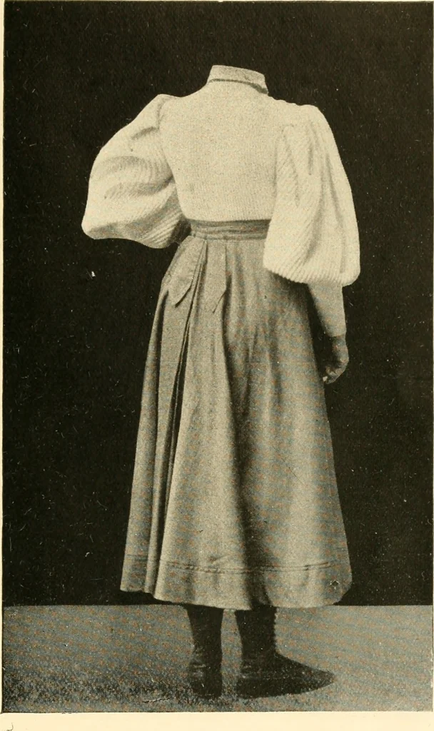 An illustration from Dress, and how to improve it, 1897, leaf 108