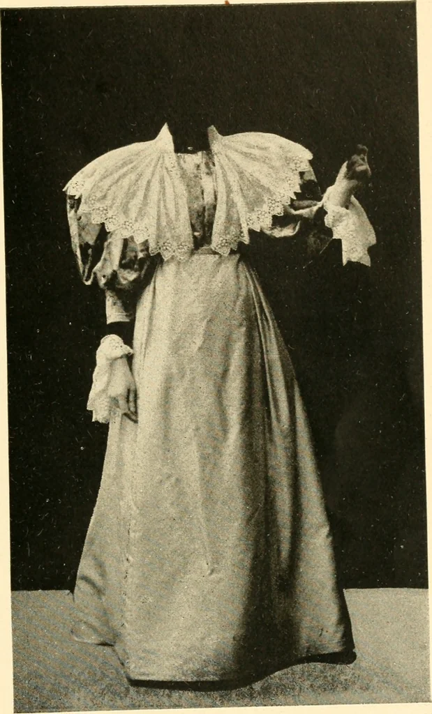 An illustration from Dress, and how to improve it, 1897, leaf 110
