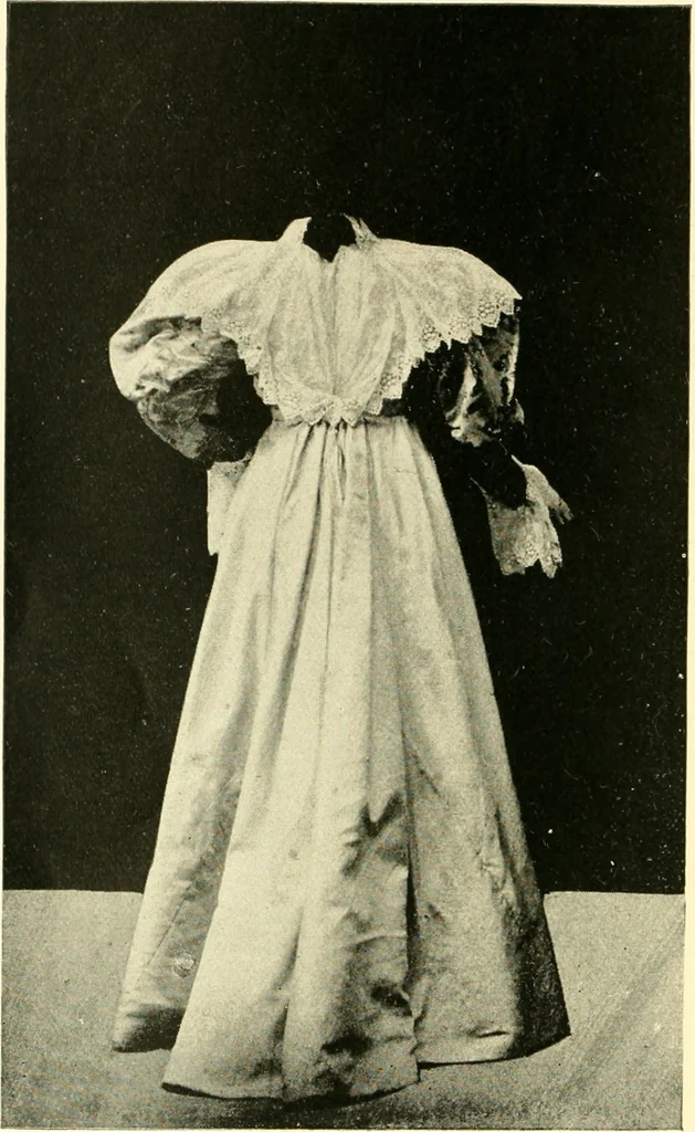 An illustration from Dress, and how to improve it, 1897, leaf 111