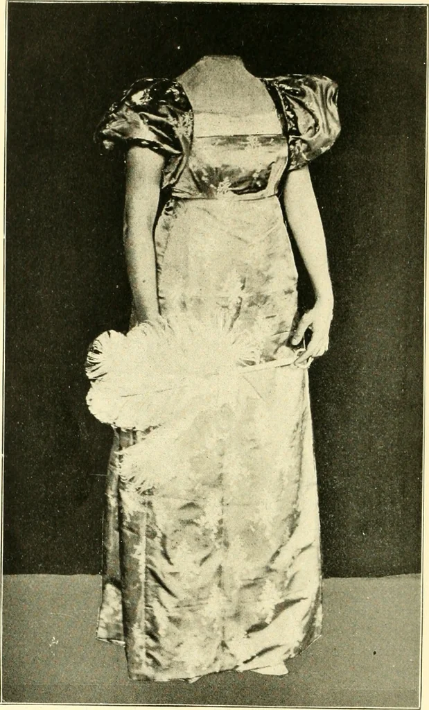 An illustration from Dress, and how to improve it, 1897, leaf 117