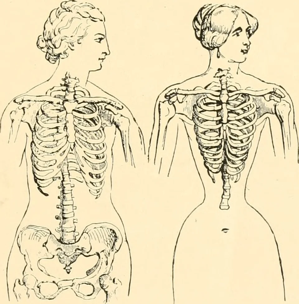 An illustration from Dress, and how to improve it, 1897, leaf 12