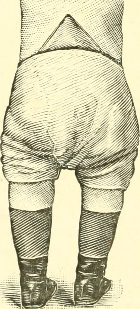 An illustration from Dress, and how to improve it, 1897, leaf 137