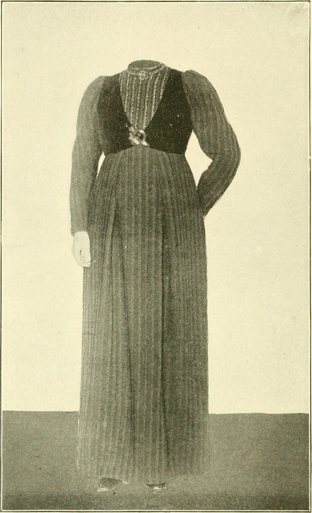 An illustration from Dress, and how to improve it, 1897, leaf 69