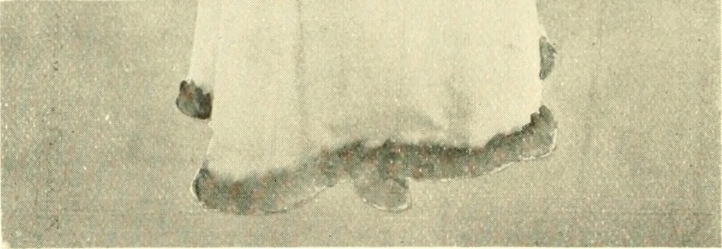 An illustration from Dress, and how to improve it, 1897, leaf 75