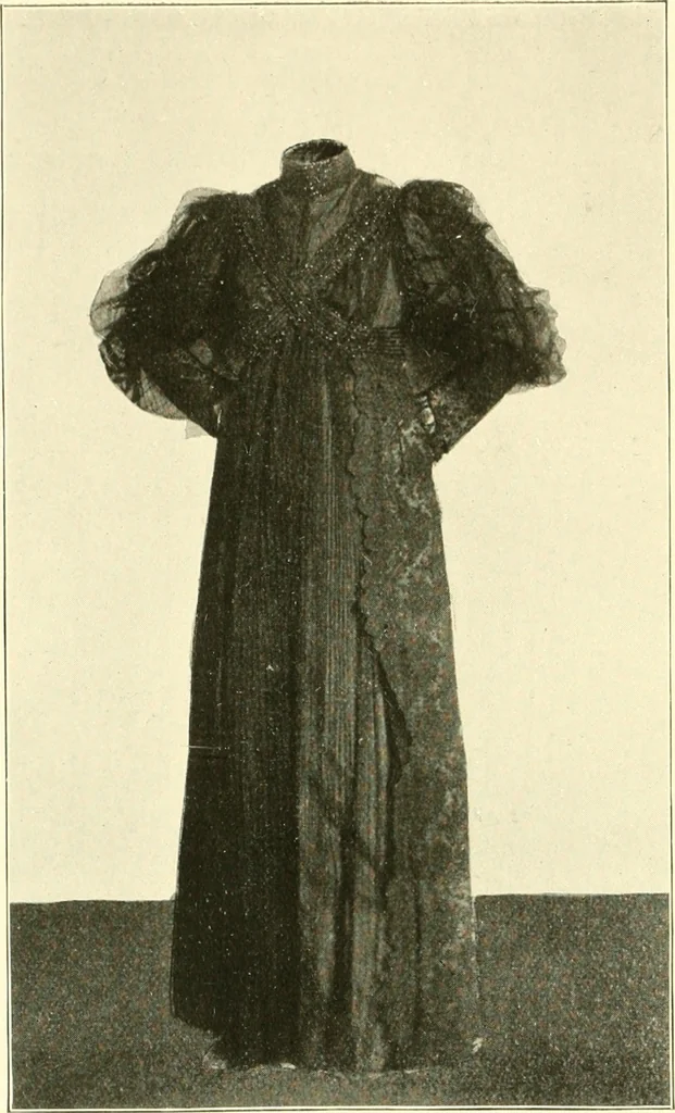 An illustration from Dress, and how to improve it, 1897, leaf 77