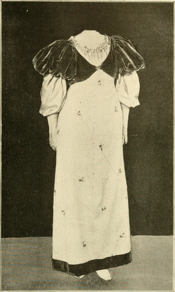 An illustration from Dress, and how to improve it, 1897, leaf 80