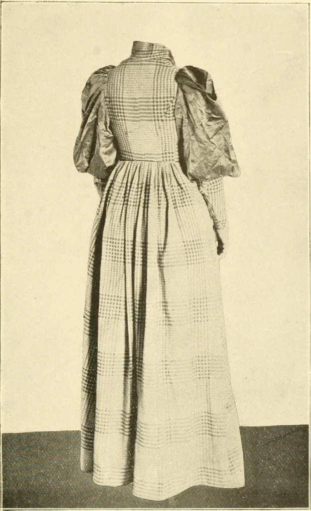 An illustration from Dress, and how to improve it, 1897, leaf 84